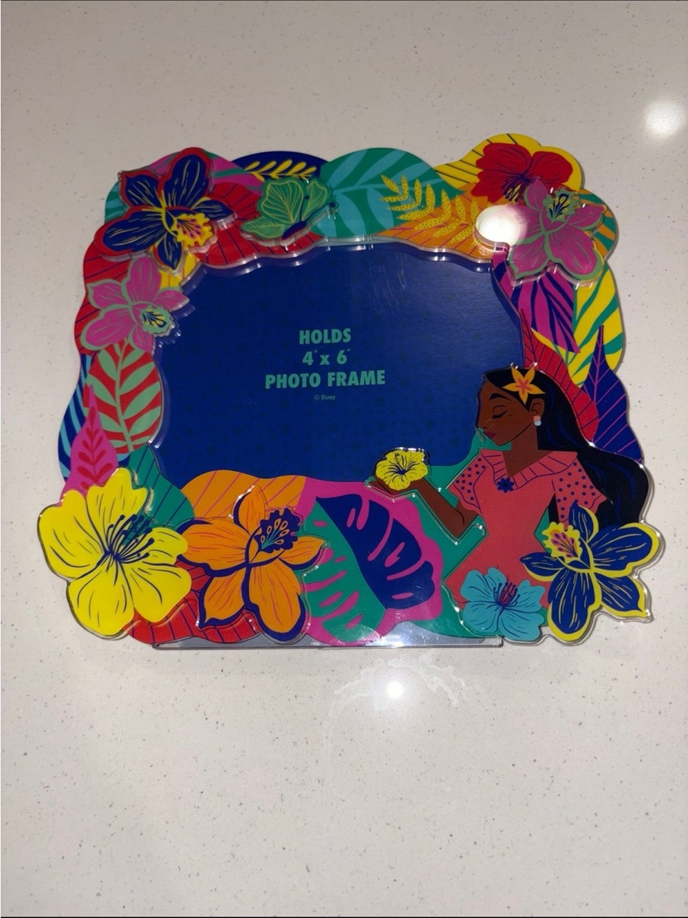 Disney Parks store ENCANTO Isabela Floral 4x6 Photo Picture Frame NEW
